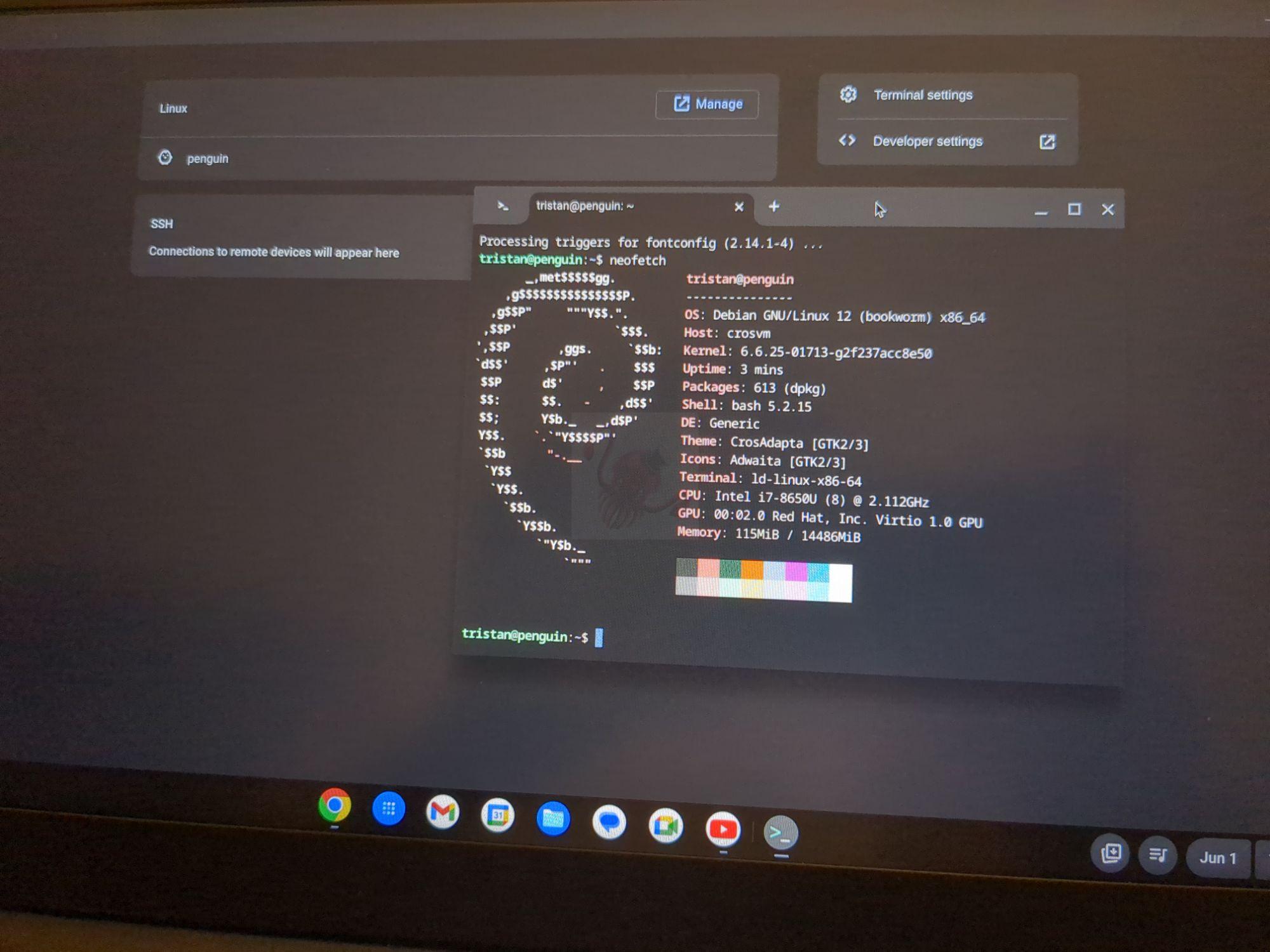 Added Linux to the ChromeOS setup